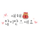 벨라 펫 살롱 이미지