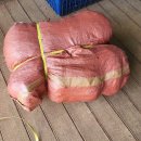 25년7월26일(토) 2차 붉은고추따기(생고추 10kg), 땅콩울타리치기 등 이미지