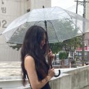 현애견미용실 네이버블로그