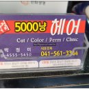 박정미헤어 이미지