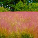 청산정원 이미지