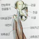 에이블짐 압구정로데오점 이미지