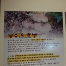 참나무능이버섯백숙 이미지