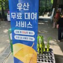 풍류돈 | ​[양평 가볼만한곳] 2026년6월26일~8월 17일 "세미원 연꽃문화제" 후기 (feat. 입장권 환급 맛집 꿀팁)
