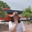 2019 DMZ 피스트레인 뮤직페스티벌 후기 (+ 꿀팁, 준비물 추천)