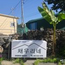 채우리네 이미지