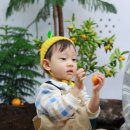 삼성대학약국 | 고마워 토토! 마운자로 구매, 초록이 삼성병원 이제 안가도 되요! - 1월 2일의 일기