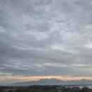 그 오토바이 가게 | [나트랑] 나트랑 판랑사막 사륜오토바이_ 나트랑 할머니반쎄오 메뉴 후기