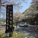 마상마을회관 | 대전 주말 나들이 2024 금산 보곡산골 산벚꽃축제