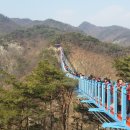 출렁다리 이미지