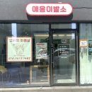 애옹이발소 이미지