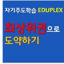 동백차이 이미지