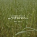 하나님의 말씀을 찬송하며(사도행전 13장) 이미지