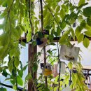 대전성모어린이집 이미지