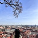 소로(국)1-9-1 | [체코] 프라하성 내부 완벽 정리 | 성비투수대성당 | 구왕궁 | 성이르지성당 | 황금소로