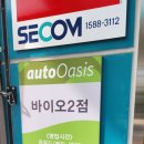 오토오아시스바이오2점 네이버블로그