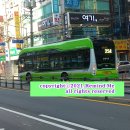 완월동119 이미지