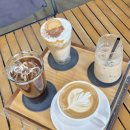 러스틱문 | 춘천 애견동반카페 러스틱문, 비발디파크 소노펫 가는길 강아지동반 대형카페 추천