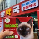 온누리동일약국 이미지