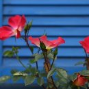 조형물1 이미지