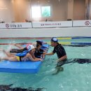 리틀아쿠아파크 이미지