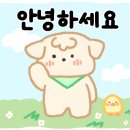 파스쿠찌대구 이미지