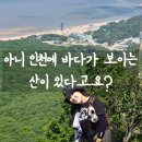 인천 초보 등산 추천 - 호룡곡산부터 소무의도 트레킹까지 3시간 컷