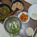 [ 일상 ] 쿠팡 야간 알바 찐 솔직 후기 + 상하차 비교 + 뒤죽박죽 일상