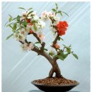 신동농장 이미지