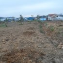 포포농장 이미지