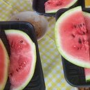 [여행] 8월의 몽골 여행기 0. 여행 준비와 몽골 음식 모음(부제: 몽골에서도 채식할 수 있을까)