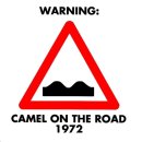 Camel