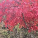 황토편백하우스 이미지