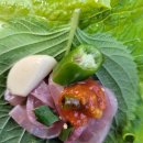 마리민물회
