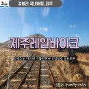대유목장 | 제주여행 아이와 가볼만한곳 용눈이오름 체험형 테마파크 '제주레일바이크'