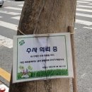 스타벅스 앞 이미지