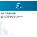 분당고은 동물병원 이미지