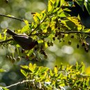 동호유적근린공원 이미지