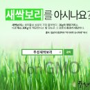농업회사법인주식회사주성 네이버블로그