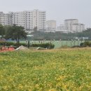 외도1축구장 이미지