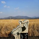 장산보건진료소 이미지