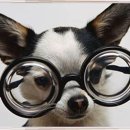 금촌종합동물병원 이미지