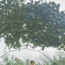 지혜한옥민박 이미지