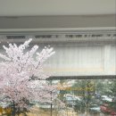 샌드비(SandB) 이미지