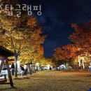 탑캠핑장글램핑 이미지