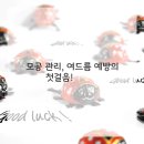 브이의원 이미지