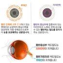 신방약국 이미지