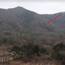 문경임업