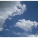 동작구민회관 이미지