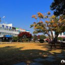 임차랑농장 이미지